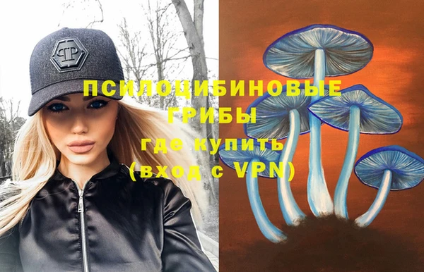 индика Алексеевка