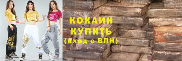 индика Алексеевка