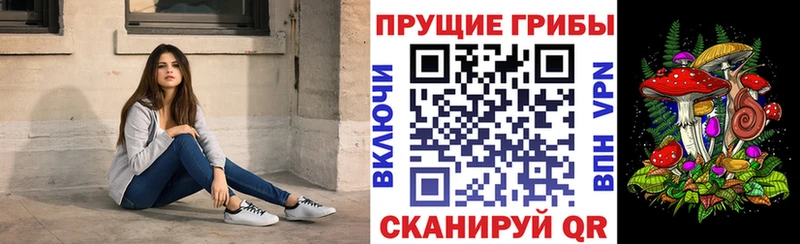 Галлюциногенные грибы прущие грибы  как найти закладки  KRAKEN сайт  Гаврилов Посад 