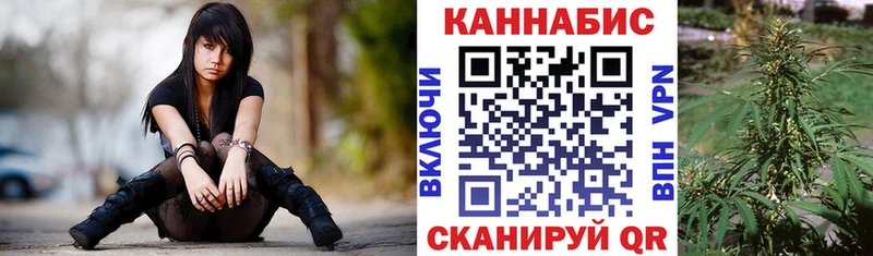 где купить наркоту  ссылка на мегу ТОР  МАРИХУАНА семена  Гаврилов Посад 
